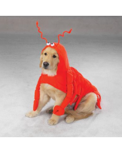 Casual Canine Lobster Paws Costume [Medium]