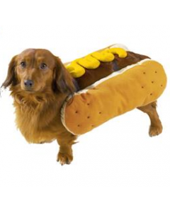 Casual Canine Hot Diggity Mustard Costume [Large]