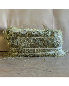Fraser Valley Double Compressed Teff Hay [1 Bale ~60lb]
