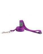 RC Pets Primary Leash Purple (1"x6')