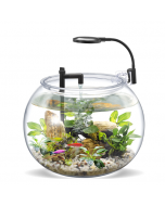 Nubios Desktop Betta Bowl, 3 Gallon -Large