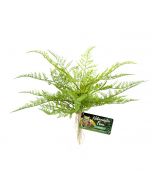 Zoo Med Naturalistic Flora Lace Fern