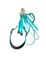 Continental Pet Biothane Groomer's Set, Teal