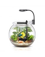 Nubios Desktop Betta Bowl, 1 Gallon -Small