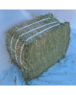 Fraser Valley Double Compressed Timothy Hay [1 Bale ~60lb]