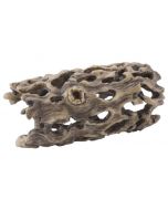 Exo Terra Cholla Cactus Skeleton Small