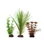 Fluval Aqualife Red Limnophila 3 Pack [4-8"]