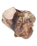 Hopcott Knuckle Bone