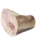 Hopcott Shank Bone