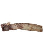 Hopcott Rib Bone