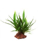 Tropica Lava Stone With Plant