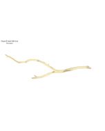 Tropica Manzanita Wood 24" -Medium