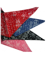 Cozymo Bandanas Assorted Paisley Patterns [72 Pack]