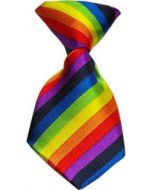 Cozymo Small Neck Tie Pride Edition (25 Pack)