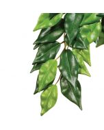 Exo Terra Ficus Plant Small