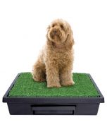 PetSafe Pet Loo Medium