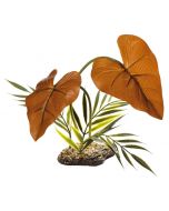 Komodo Rainforest Canopy (38cm)