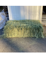 Vanderveen Teff Hay [1 Bale ~90lb]