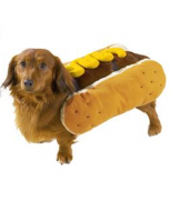 Casual Canine Hot Diggity Mustard Costume [Large]