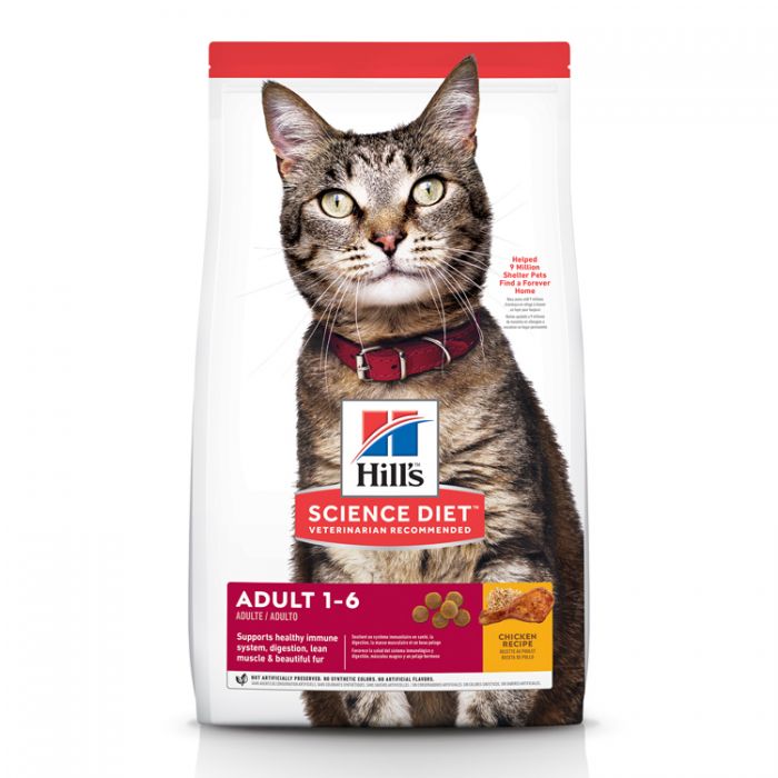 Ideal cat food suppliers best sale