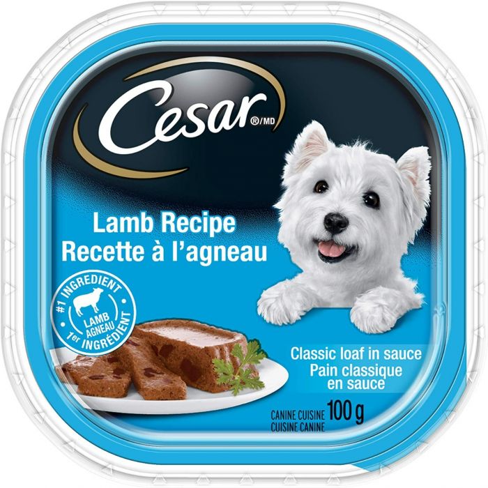 Cesar Lamb Recipe Adult Wet Dog Food